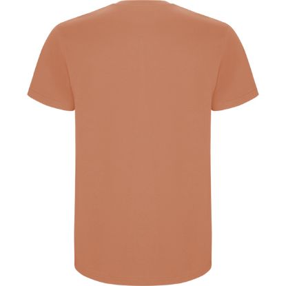 Picture of STAFFORD 6681