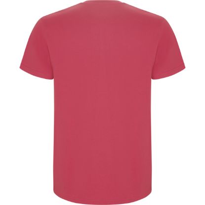 Picture of STAFFORD 6681