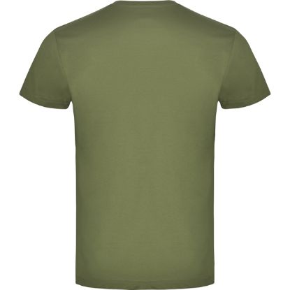 Picture of BRACO 6550